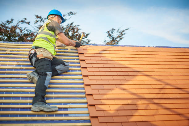 Best Metal Roofing Installation  in Wolverine Lake, MI